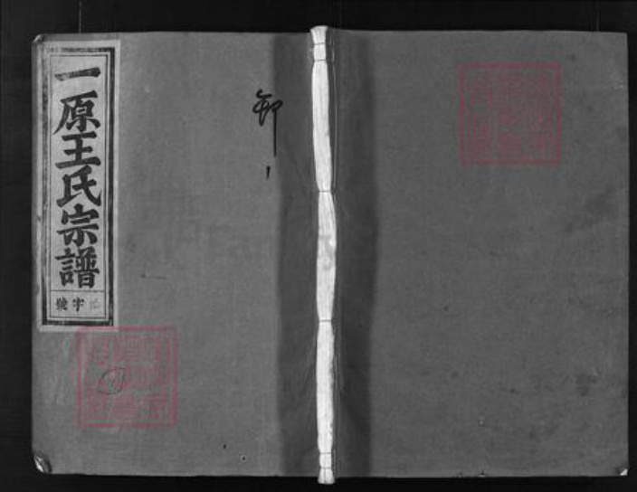 浙江省金华市金华王氏族谱-一原王氏宗谱 [12卷,含卷首].pdf电子版插图