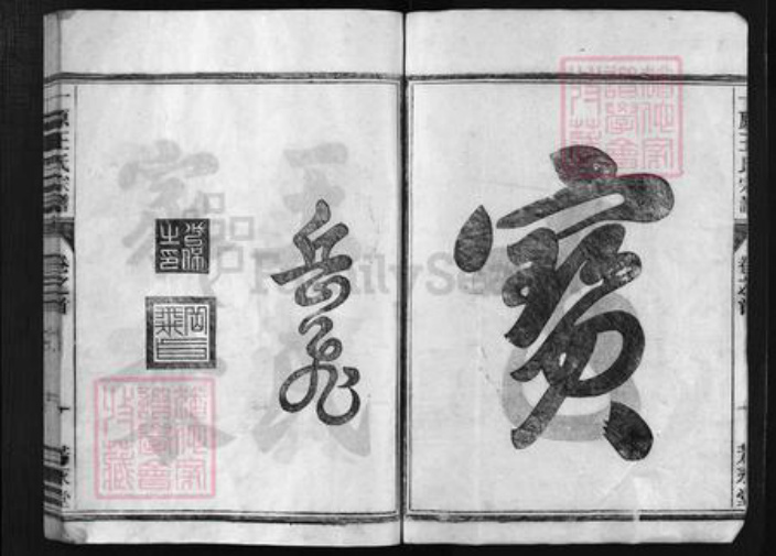 浙江省金华市金华王氏族谱-一原王氏宗谱 [12卷,含卷首].pdf电子版插图2