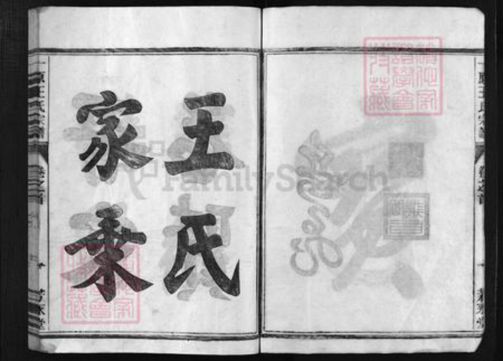 浙江省金华市金华王氏族谱-一原王氏宗谱 [12卷,含卷首].pdf电子版插图3