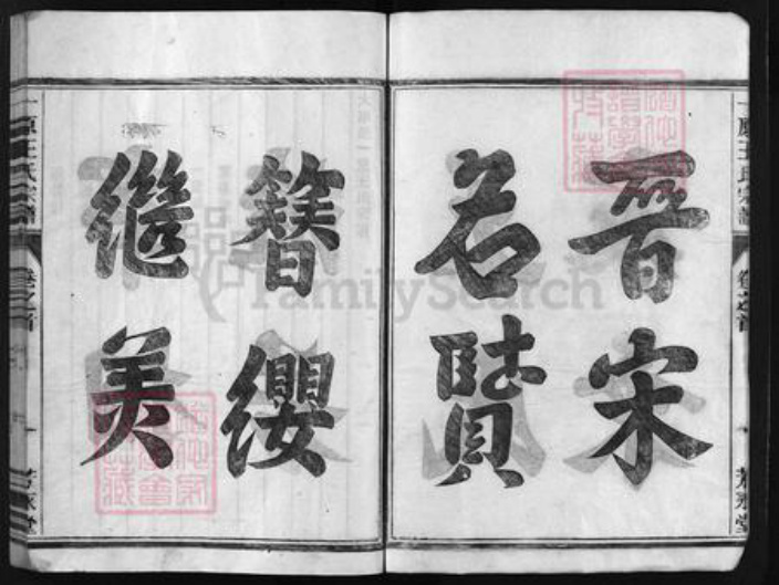 浙江省金华市金华王氏族谱-一原王氏宗谱 [12卷,含卷首].pdf电子版插图4