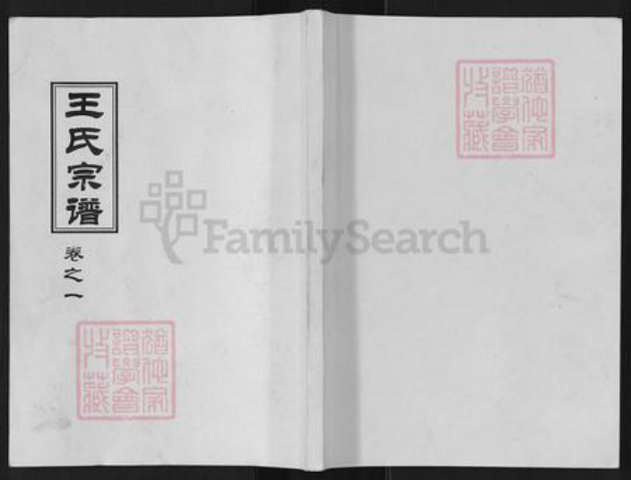 江苏省盐城市阜宁县新沟镇王氏族谱-沙湾王氏宗谱.pdf电子版插图