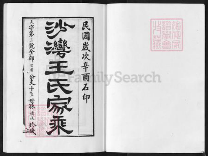 江苏省盐城市阜宁县新沟镇王氏族谱-沙湾王氏宗谱.pdf电子版插图1