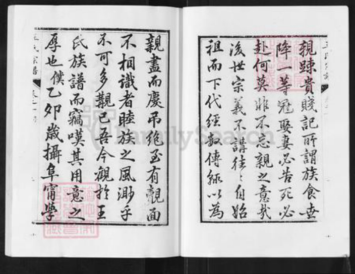 江苏省盐城市阜宁县新沟镇王氏族谱-沙湾王氏宗谱.pdf电子版插图3
