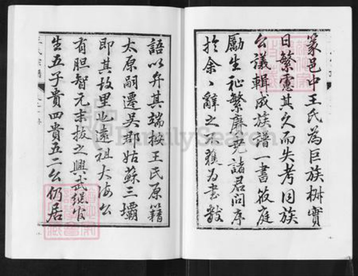 江苏省盐城市阜宁县新沟镇王氏族谱-沙湾王氏宗谱.pdf电子版插图4