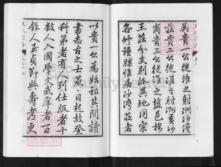 江苏省盐城市阜宁县新沟镇王氏族谱-沙湾王氏宗谱.pdf电子版插图5