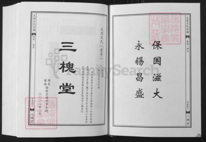 湖北省武汉市黄陂区王氏三槐堂族谱-太原王氏宗谱.pdf电子版插图3