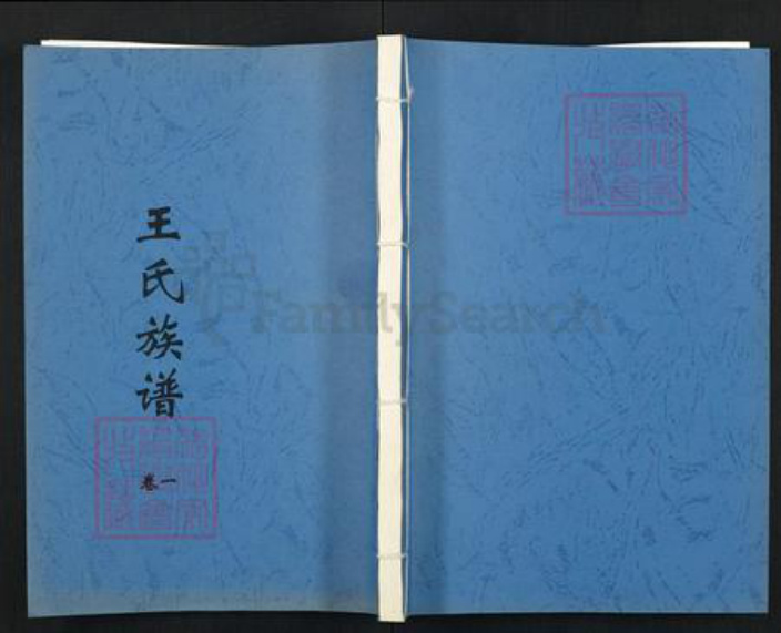 江苏省徐州市沛县王氏族谱-王氏族谱.pdf电子版插图