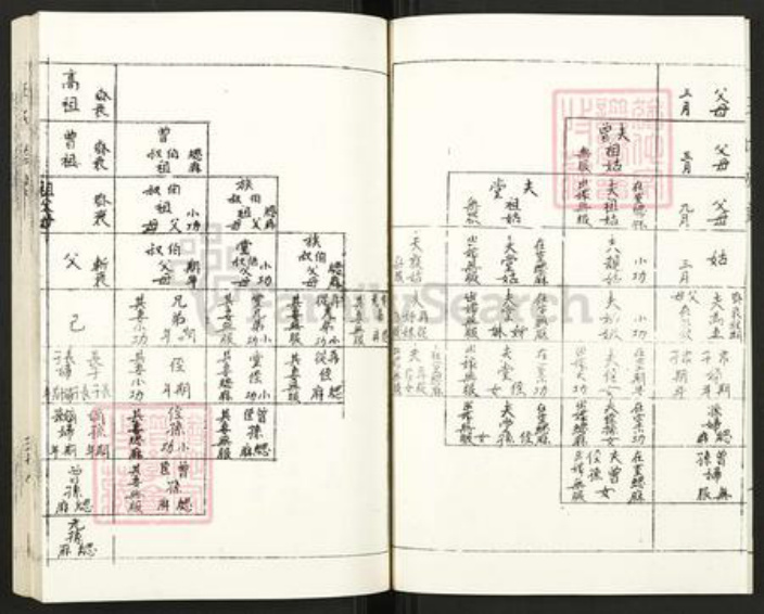 江苏省徐州市沛县王氏族谱-王氏族谱.pdf电子版插图3