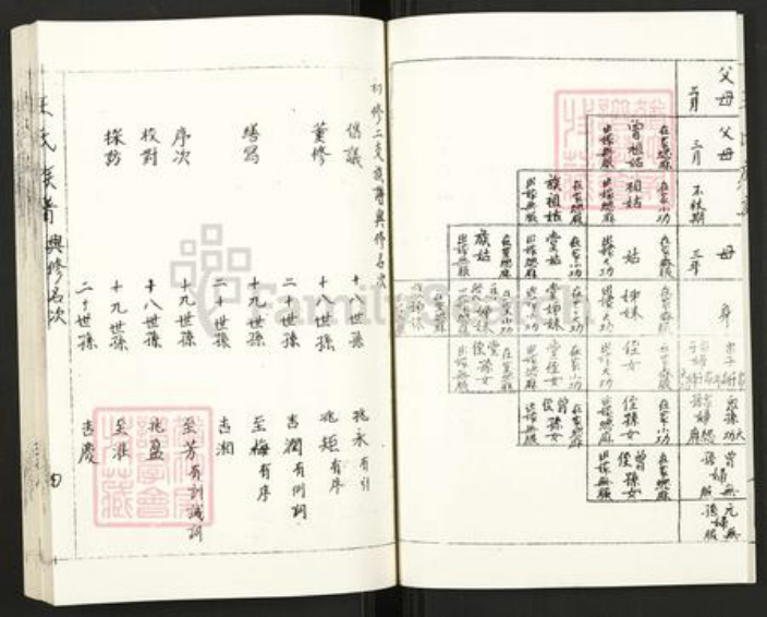 江苏省徐州市沛县王氏族谱-王氏族谱.pdf电子版插图4
