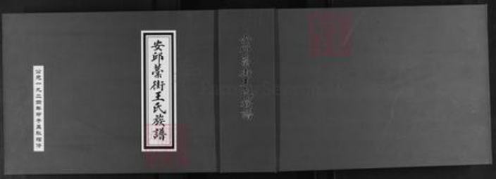山东省潍坊市安丘市王氏族谱-安邱藁街王氏族谱.pdf电子版插图