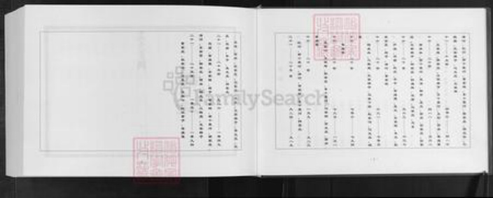 山东省潍坊市安丘市王氏族谱-安邱藁街王氏族谱.pdf电子版插图3