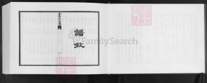 山东省潍坊市安丘市王氏族谱-安邱藁街王氏族谱.pdf电子版插图4