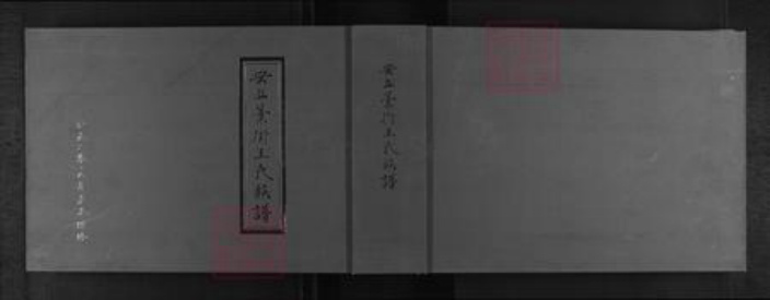山东省潍坊市安丘市王氏族谱-安丘藁街王氏族谱.pdf电子版插图