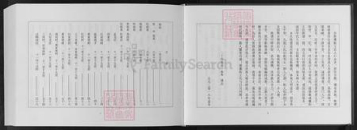 山东省潍坊市安丘市王氏族谱-安丘藁街王氏族谱.pdf电子版插图4