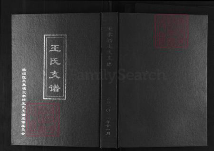 山东省淄博市临淄区凤凰镇王氏族谱-王家桥王氏支谱.pdf电子版插图