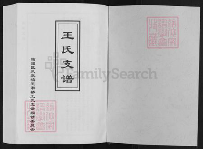 山东省淄博市临淄区凤凰镇王氏族谱-王家桥王氏支谱.pdf电子版插图1