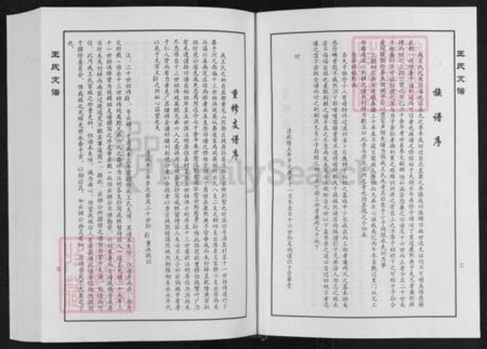 山东省淄博市临淄区凤凰镇王氏族谱-王家桥王氏支谱.pdf电子版插图3