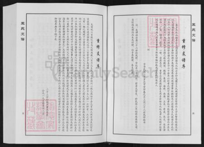 山东省淄博市临淄区凤凰镇王氏族谱-王家桥王氏支谱.pdf电子版插图4