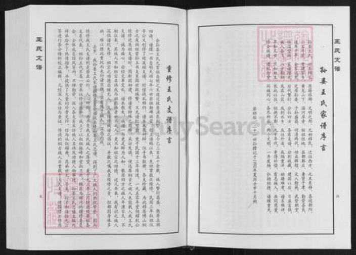 山东省淄博市临淄区凤凰镇王氏族谱-王家桥王氏支谱.pdf电子版插图5
