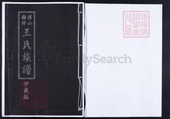 山东省淄博市博山区王氏族谱-博山颜神王氏族谱.pdf电子版插图