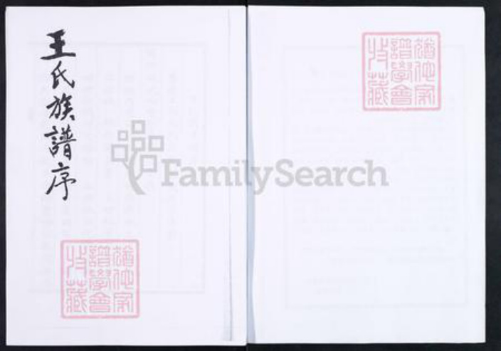 山东省淄博市博山区王氏族谱-博山颜神王氏族谱.pdf电子版插图2