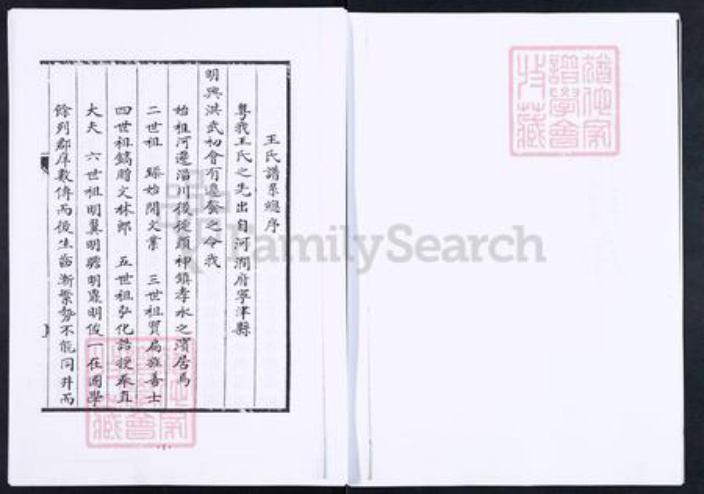 山东省淄博市博山区王氏族谱-博山颜神王氏族谱.pdf电子版插图3