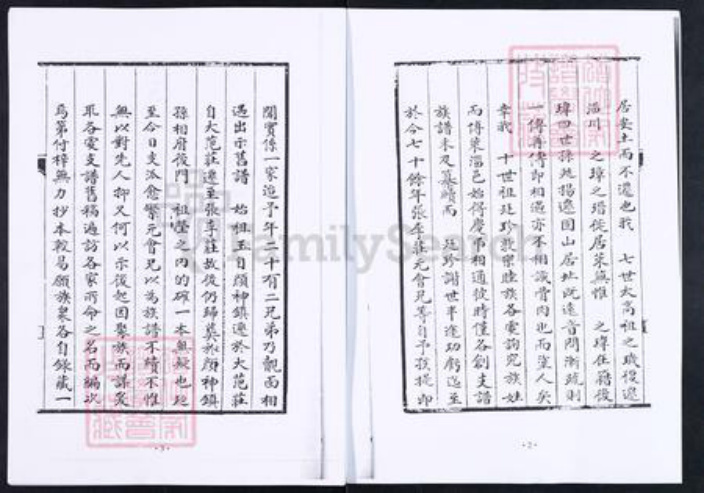 山东省淄博市博山区王氏族谱-博山颜神王氏族谱.pdf电子版插图4