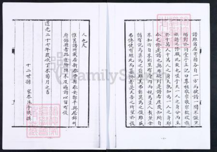 山东省淄博市博山区王氏族谱-博山颜神王氏族谱.pdf电子版插图5