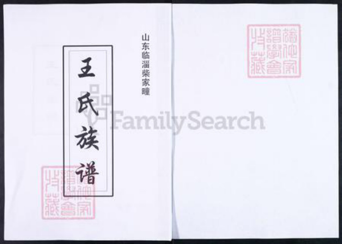 山东省淄博市临淄区王氏对包堂族谱-山东临淄柴家疃王氏族谱.pdf电子版插图