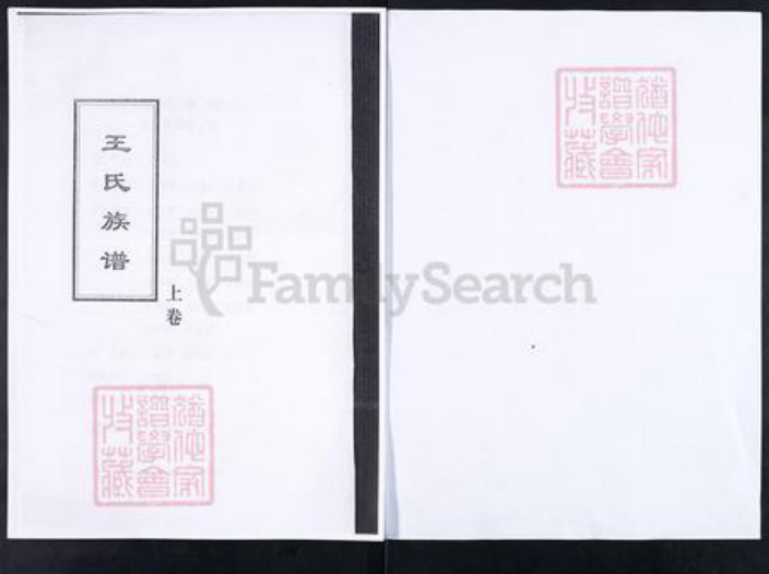 山东省淄博市临淄区王氏对包堂族谱-山东临淄柴家疃王氏族谱.pdf电子版插图1