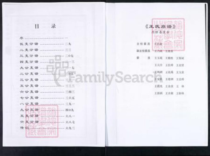 山东省淄博市临淄区王氏对包堂族谱-山东临淄柴家疃王氏族谱.pdf电子版插图3