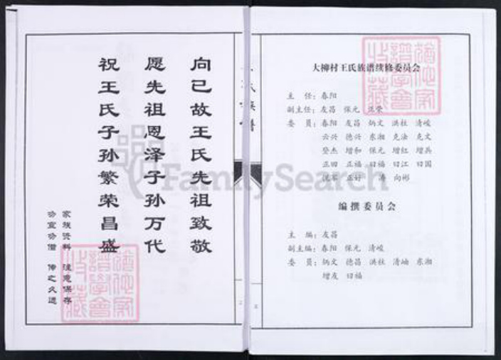 山东省淄博市临淄区朱台镇王氏族谱-临淄大柳树屯王氏族谱.pdf电子版插图2