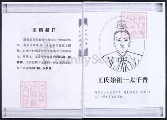 山东省淄博市临淄区朱台镇王氏族谱-临淄大柳树屯王氏族谱.pdf电子版插图5