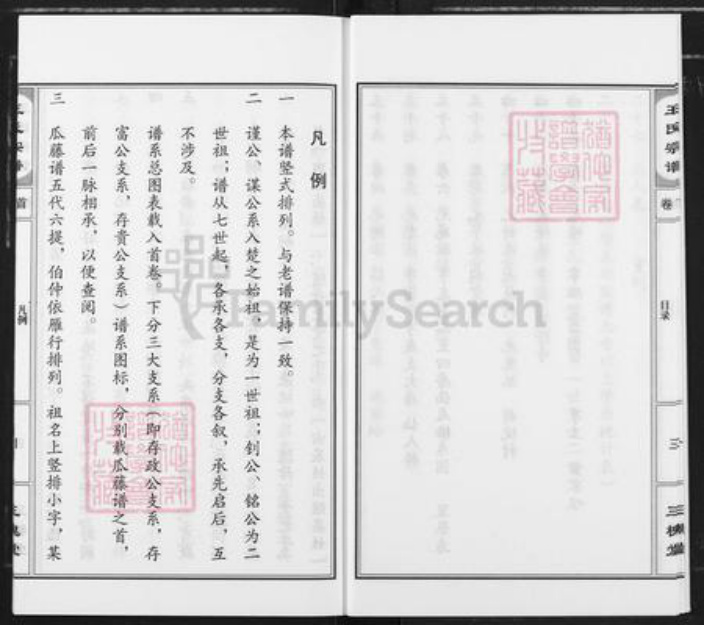 湖北省孝感市汉川市王氏三槐堂族谱-王氏宗谱.pdf电子版插图4