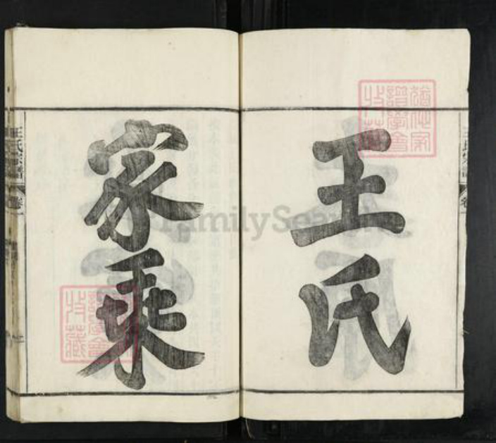安徽省黄山市祁门县王氏三槐堂族谱-长林王氏宗谱.pdf电子版插图2