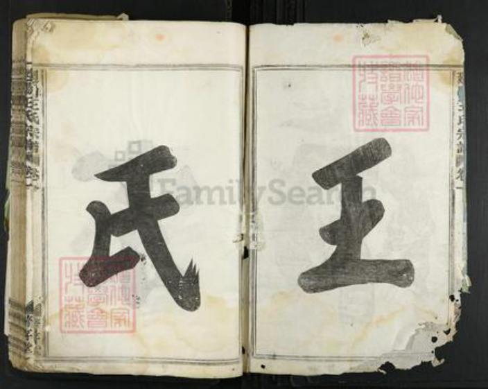 浙江省金华市婺城区王氏着存堂族谱-回阳王氏宗谱.pdf电子版插图2
