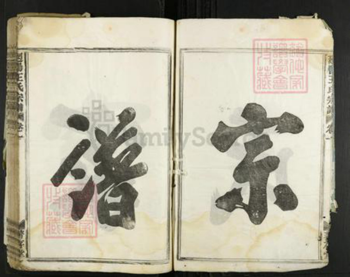 浙江省金华市婺城区王氏着存堂族谱-回阳王氏宗谱.pdf电子版插图3