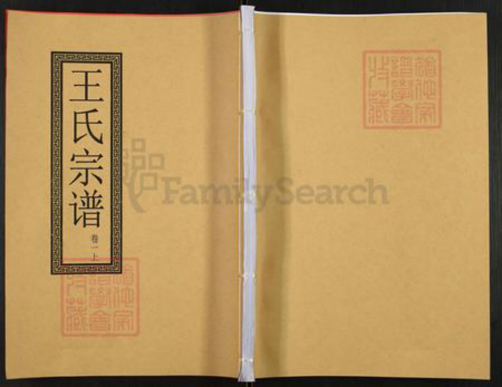 安徽省合肥市肥东县石塘镇王氏三槐堂族谱-王氏宗谱.pdf电子版插图