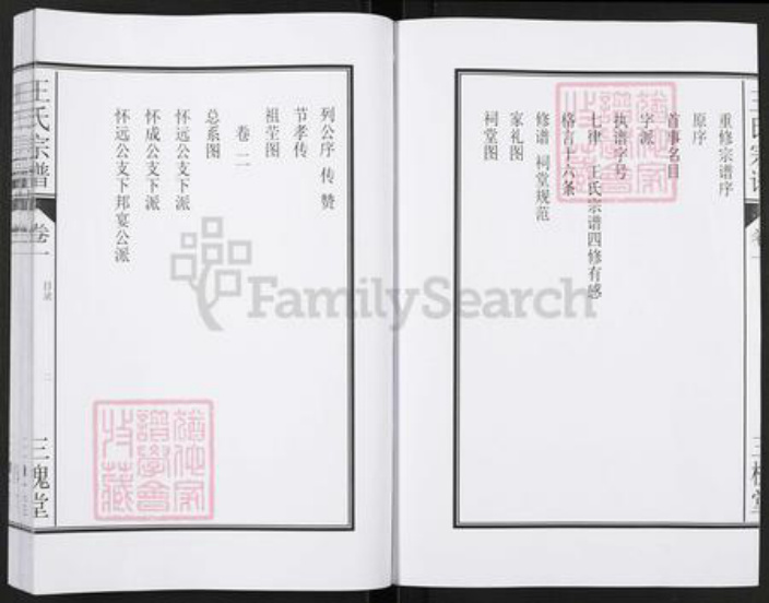 安徽省合肥市肥东县石塘镇王氏三槐堂族谱-王氏宗谱.pdf电子版插图3