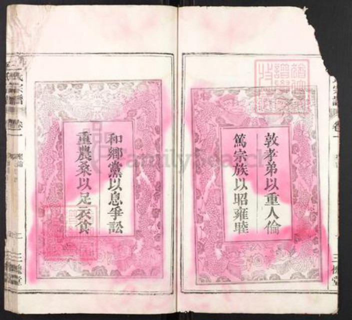 安徽省蚌端口市怀远县淝南乡王氏三槐堂族谱-王氏宗谱.pdf电子版插图4