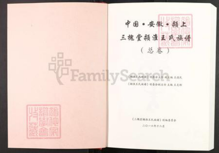 安徽省阜阳市颍上县王氏三槐堂族谱-三槐堂颍淮王氏族谱.pdf电子版插图1