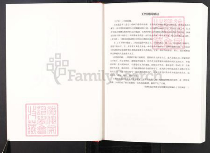 安徽省阜阳市颍上县王氏三槐堂族谱-三槐堂颍淮王氏族谱.pdf电子版插图2