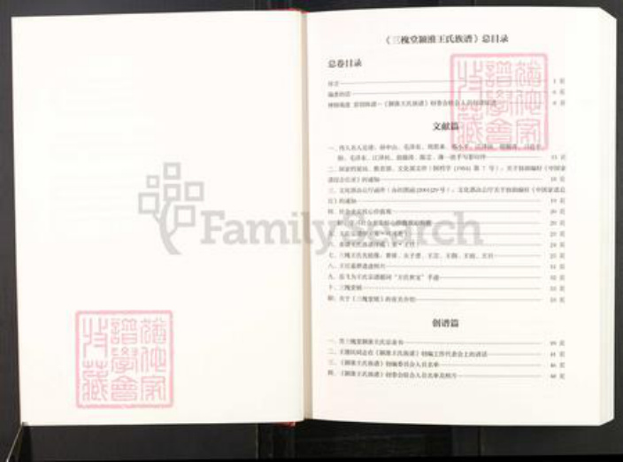 安徽省阜阳市颍上县王氏三槐堂族谱-三槐堂颍淮王氏族谱.pdf电子版插图3