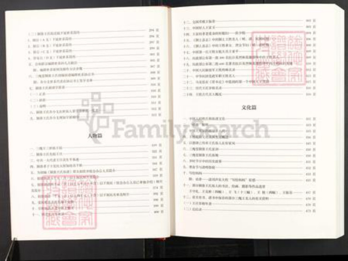 安徽省阜阳市颍上县王氏三槐堂族谱-三槐堂颍淮王氏族谱.pdf电子版插图5