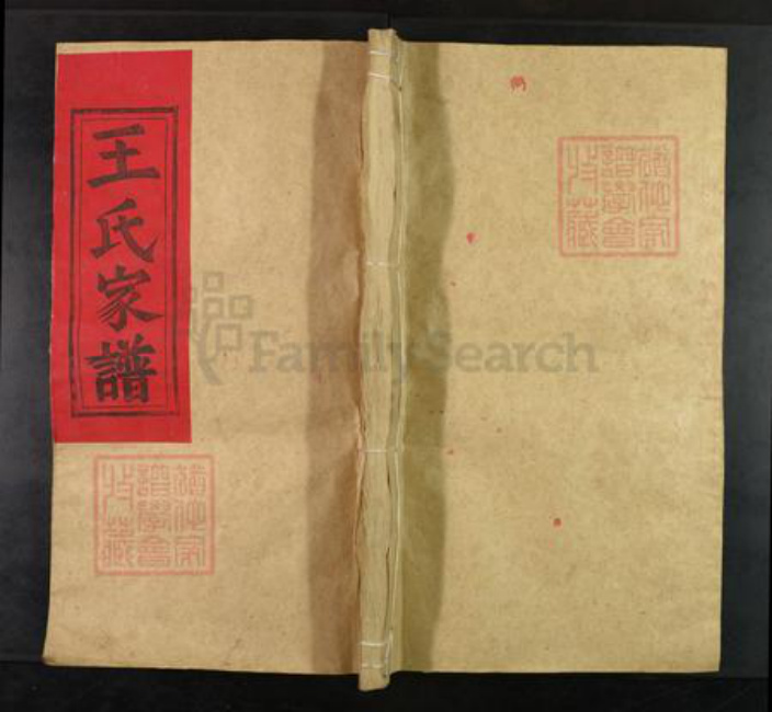 江西省上饶市上饶县王氏三槐堂族谱-霞塘王氏家谱.pdf电子版插图