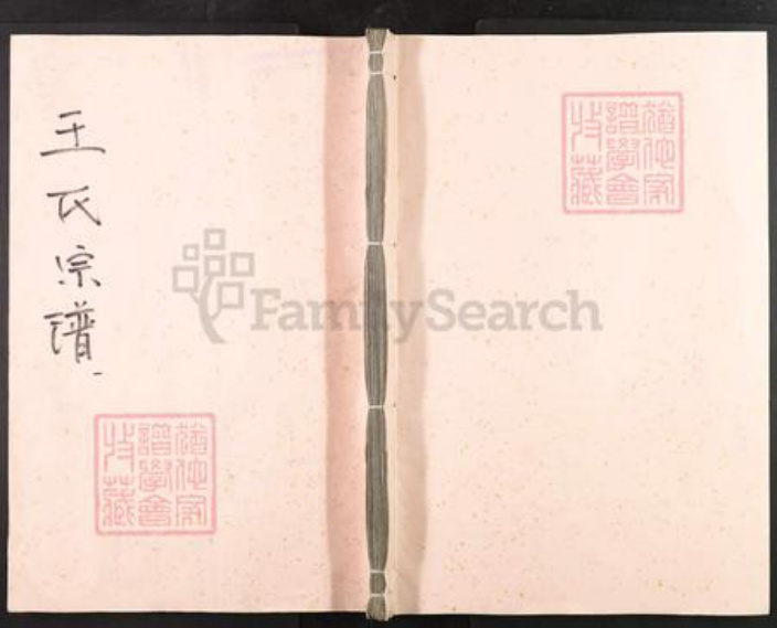 湖北省武汉市武昌区王氏太原堂族谱-王氏宗谱.pdf电子版插图