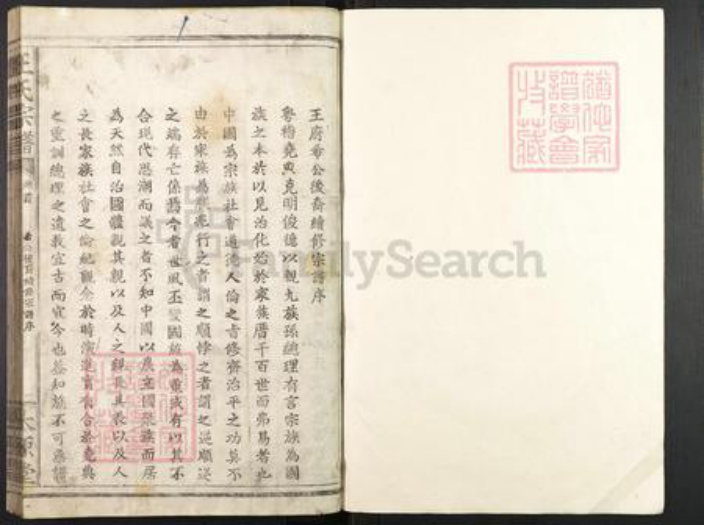 湖北省武汉市武昌区王氏太原堂族谱-王氏宗谱.pdf电子版插图1