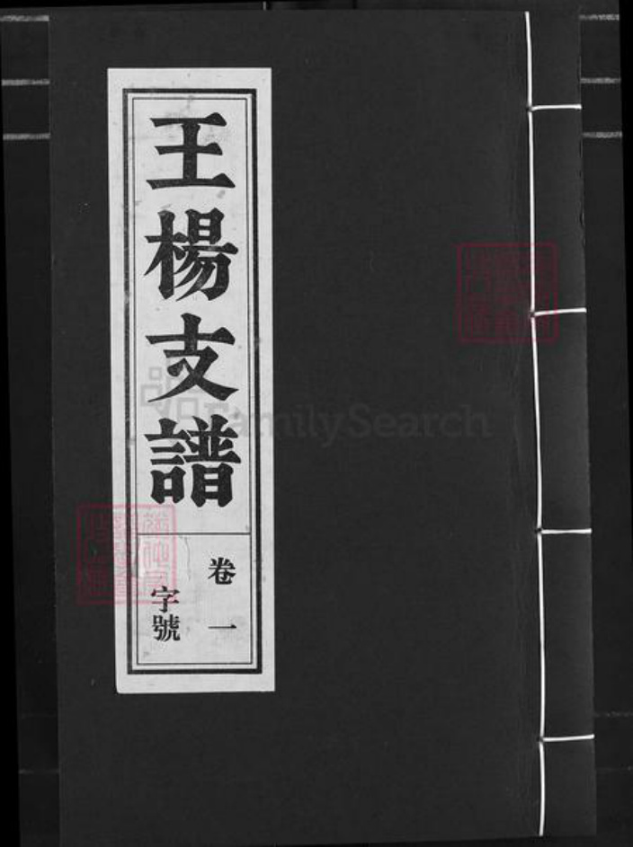 安徽省安庆市桐城市王氏余庆堂族谱-王杨支谱.pdf电子版插图