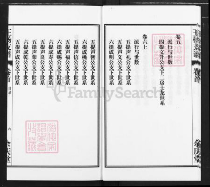 安徽省安庆市桐城市王氏余庆堂族谱-王杨支谱.pdf电子版插图5