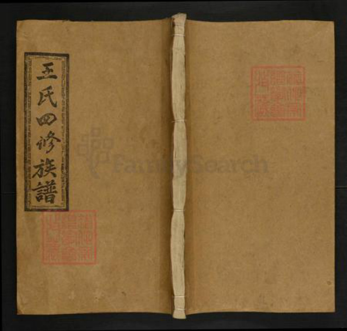 湖南省邵阳市邵东王氏三槐堂族谱-邵陵王氏四修族谱.pdf电子版插图